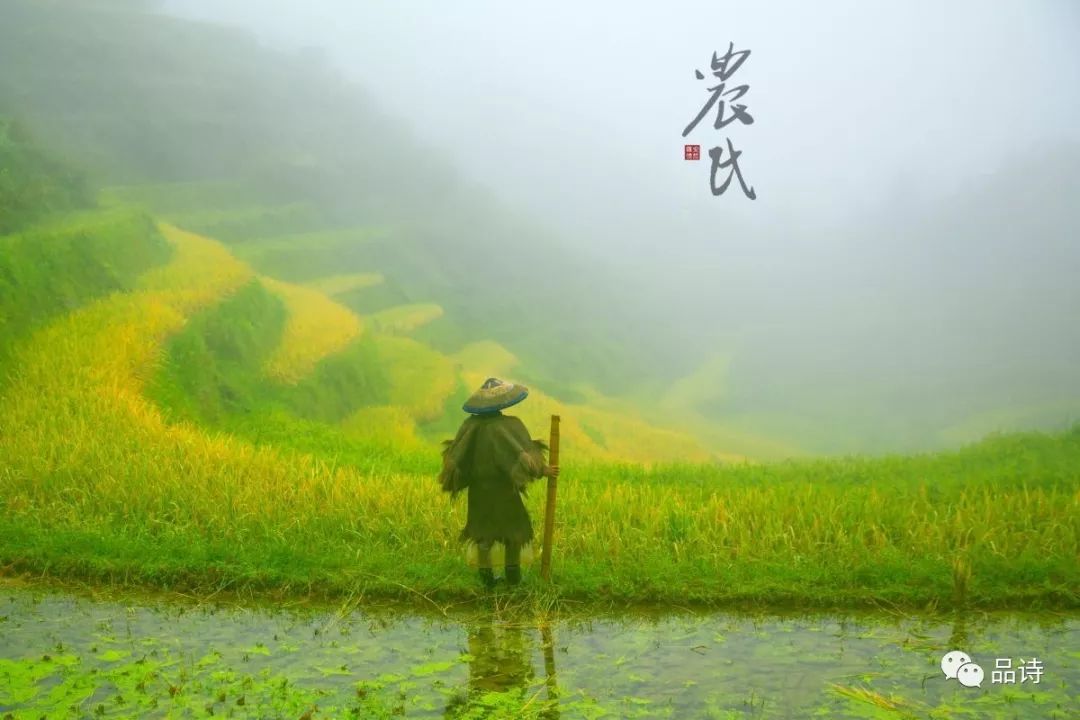 第四届"芙蓉杯"全国文学大赛入围诗歌作品—《我是农民的儿子(外一首)