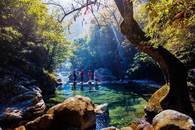 青阳·上海文化旅游暨招商推介会成功举办