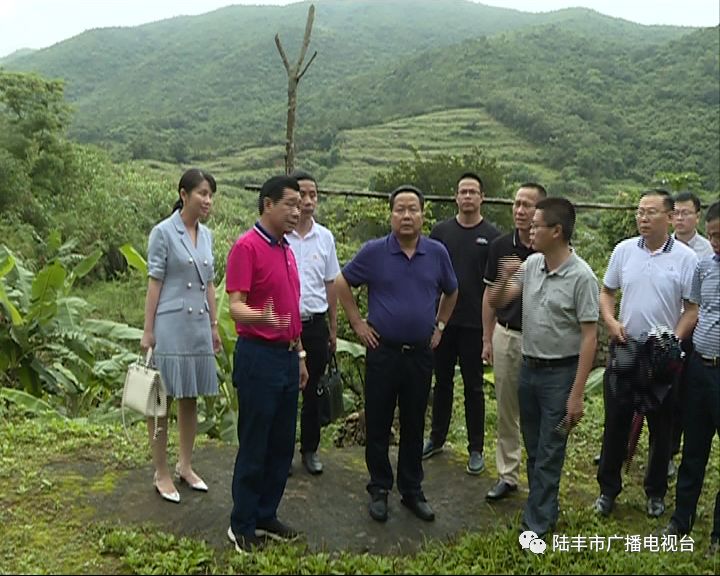 陆丰市委书记到陂洋镇芹洋村检查指导红色乡村振兴工作