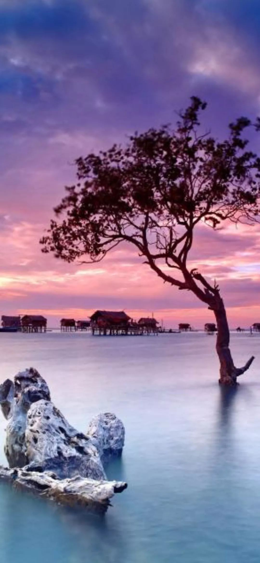 全面屏高清壁纸 | iPhonexs max X壁纸