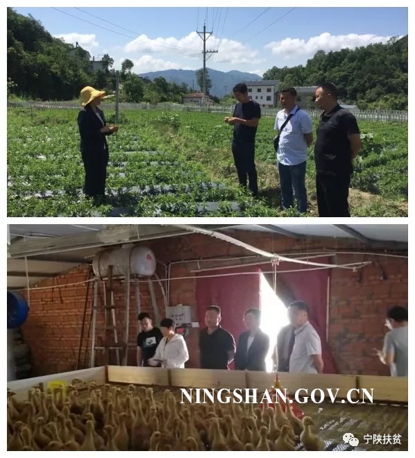 宁陕县脱贫攻坚百日会战行动(十五)_工作