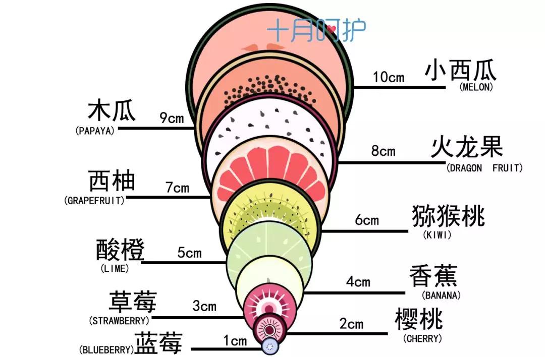 宫口从一指开到十指有什么区别看完这些图心疼妈妈们