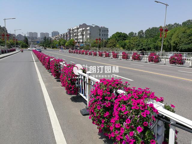 盐城市容绿化好不好