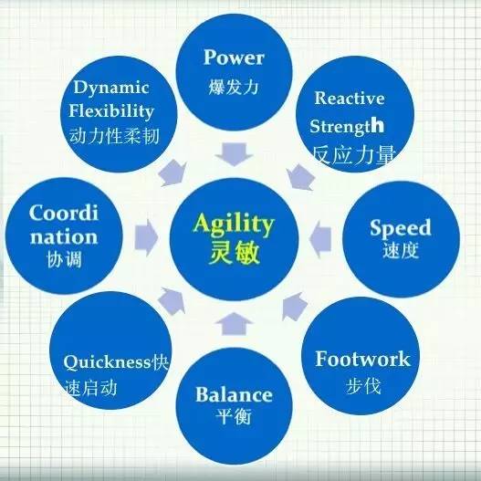 儿童体适能为什么是最适合孩子的运动项目!