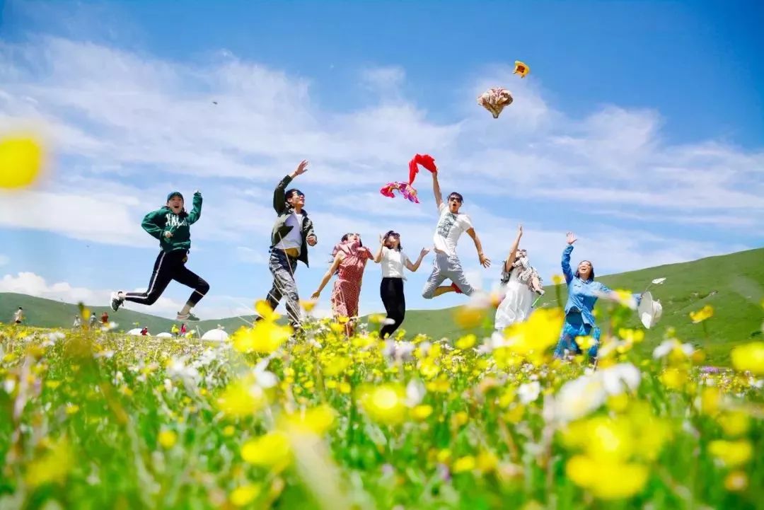 川藏线最浪漫的地方,草原、花海、星空、雪山