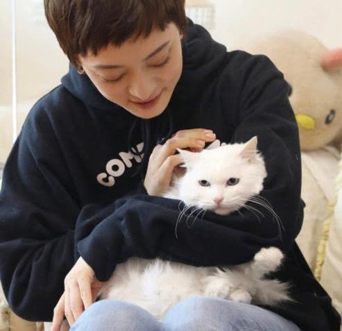 孙俪是娱乐圈出了名的爱猫人士,经常微博晒猫,喂养流浪猫狗等.