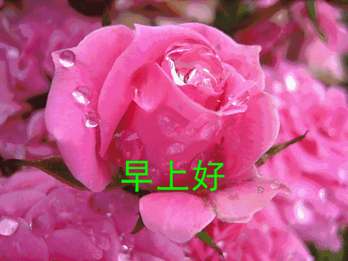 好看的群发短信早上好问候语图片 早安祝福语大全带表情包