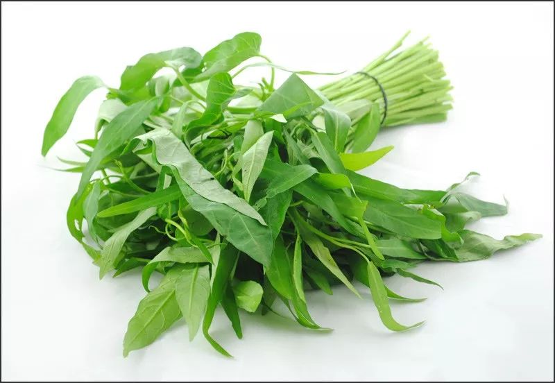 高山蔬菜丨 空心菜的家常做法,别再只会蒜蓉炒