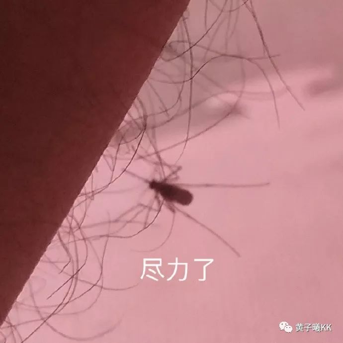 记忆力人口_记忆力差的图片(3)