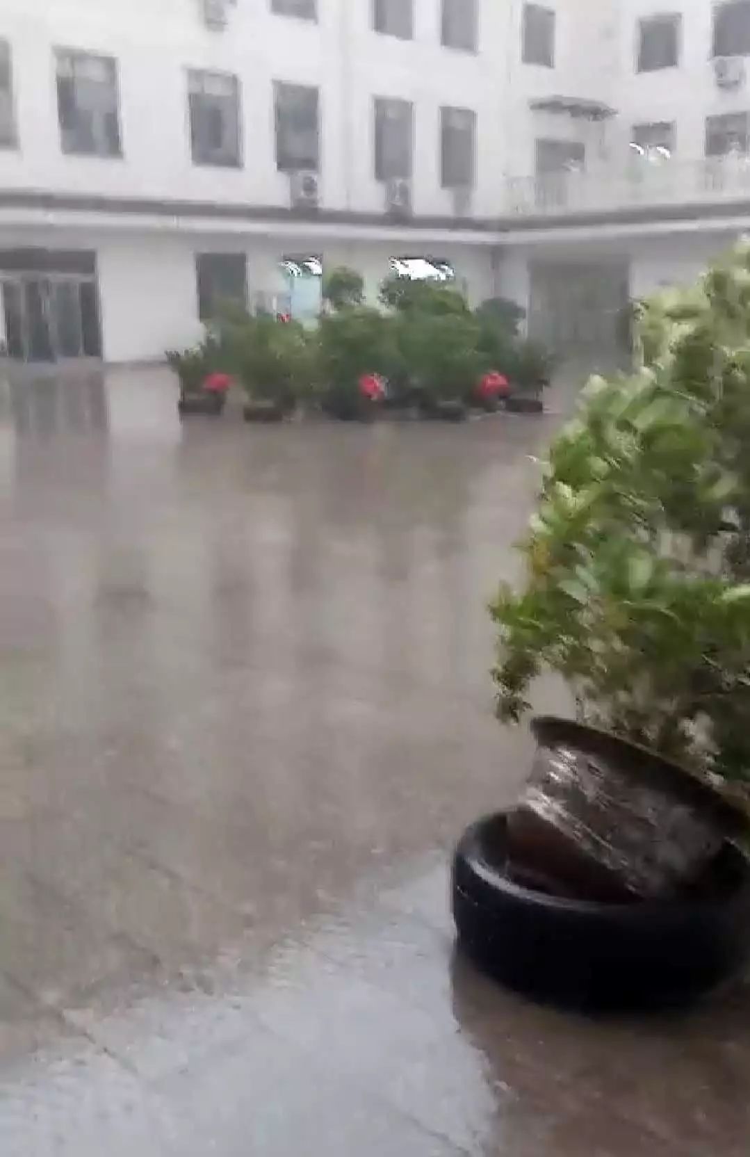 视频多图一言不合就变天暴雨冰雹妖风突袭阳泉