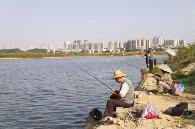 公司放假三天 闲来无事独自一人去钓鱼 没成想鱼获还不少 地方