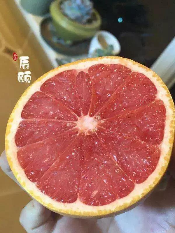 a8c66dc034e3491baac47e12c9539fdf.jpeg