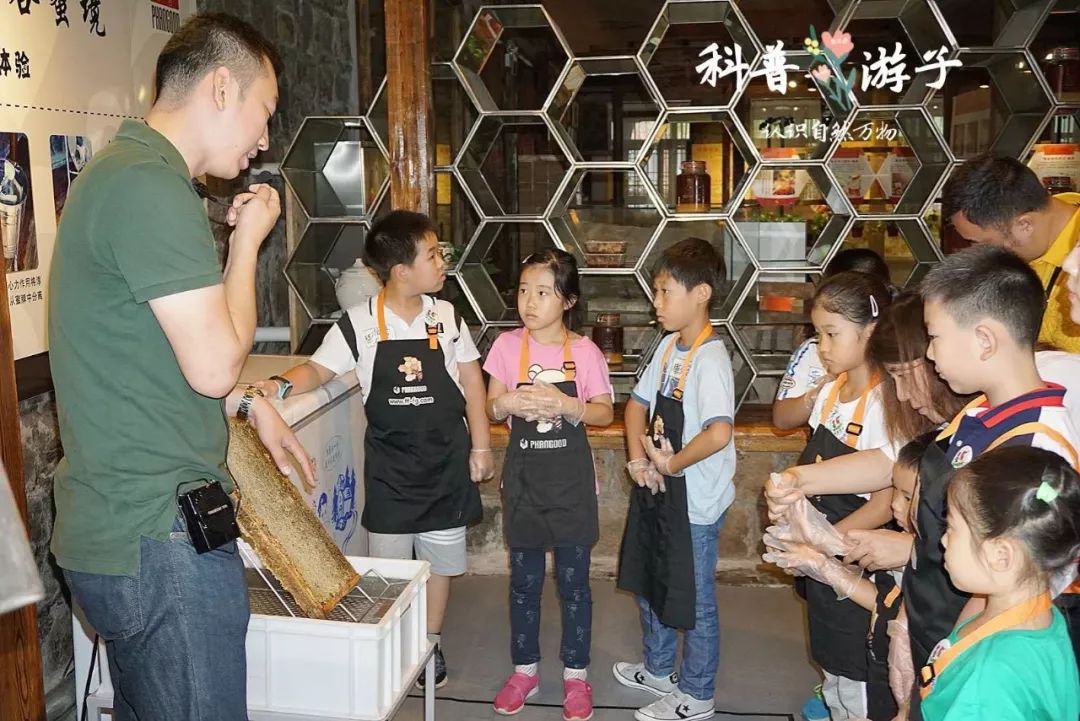 除了小蜜蜂是社会性昆虫,还有什么动物是社会性昆虫呢?