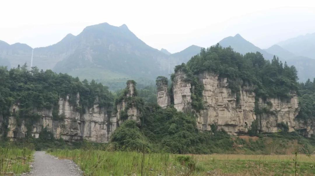 三泉镇人口_重庆南川遭受严重暴雨袭击 受灾人口达2.1万