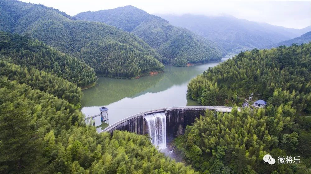 他们在将乐龙栖山安置了50台摄像机,拍到的这一幕幕画面很珍贵!