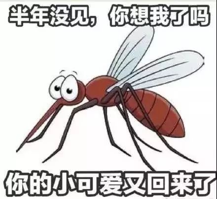 又被蚊子咬了多少个包呢?