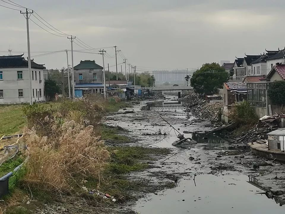 紫芙社区顾段圩和高家宅基,联泾村郁家宅基,坞坵村沈家闸宅基,陈塘村