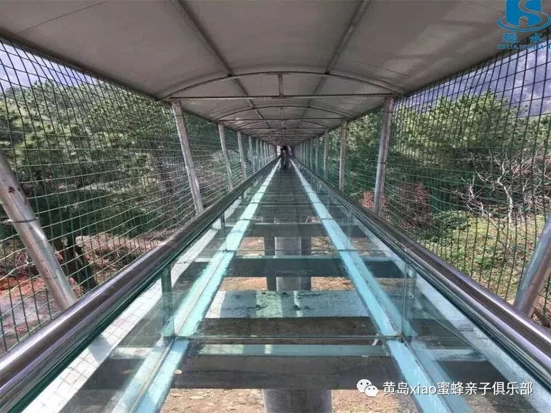 6月2223号日照海洋公园七彩旱滑赛龙舟玻璃滑道东夷小镇一日游