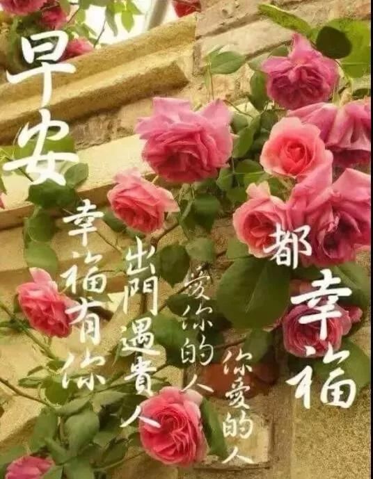 星期五特漂亮的清晨早安问候动态表情图片,最新早安祝福语图片带字