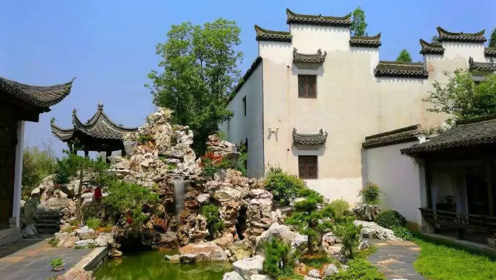 万亩荷圆绽放铜陵这场盛会美若梦里水乡