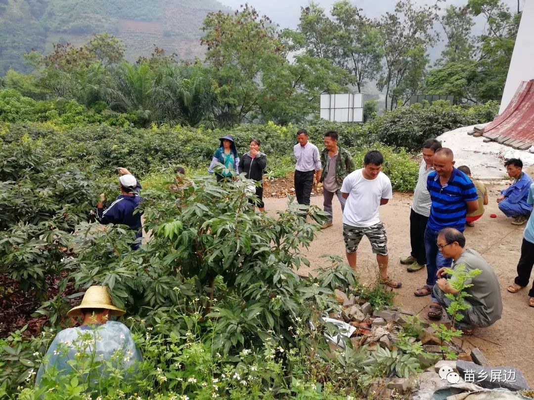 县热区办将荔枝种植实用技术送到农户身边