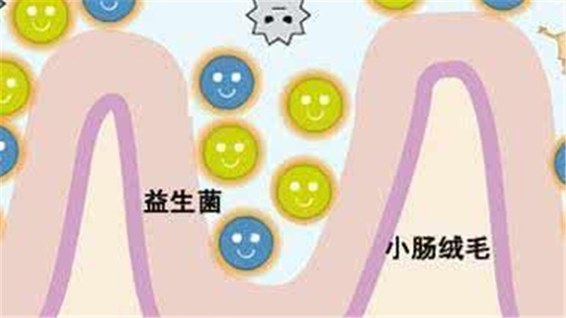                     原创            宝宝配方奶粉中的益生菌有什么作用？