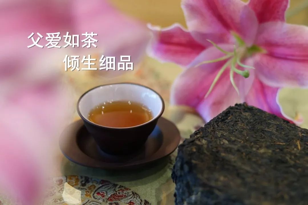 【父爱如茶丨倾生细品】