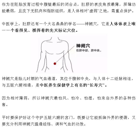 肚脐简谱_美女肚脐