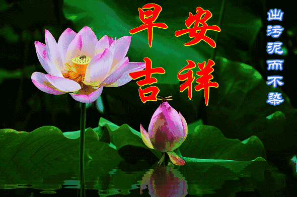 祝你早安简谱_祝你早安午安晚安视频(2)