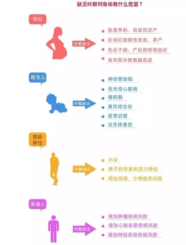 你知道吗?备孕爸爸或许也需要补充叶酸