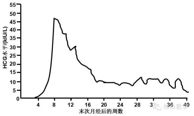 hcg你是否真的了解了
