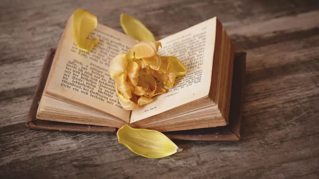 高中生课外书排行榜_近三成高中生不读课外书九成不知“世界读书日”