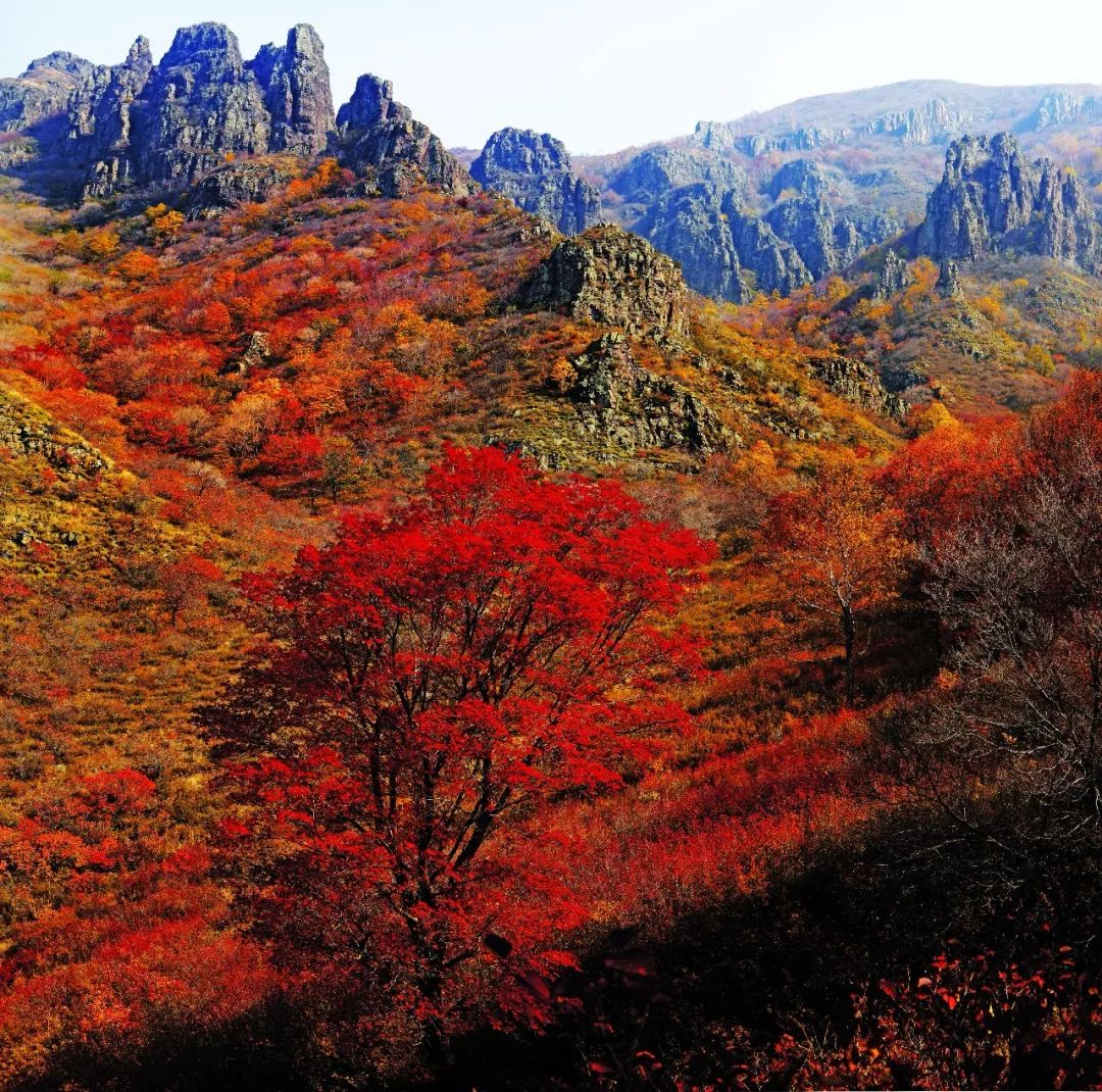 【全家游赤峰】大赤峰的人间仙境尽在神仙沟,心驰向往