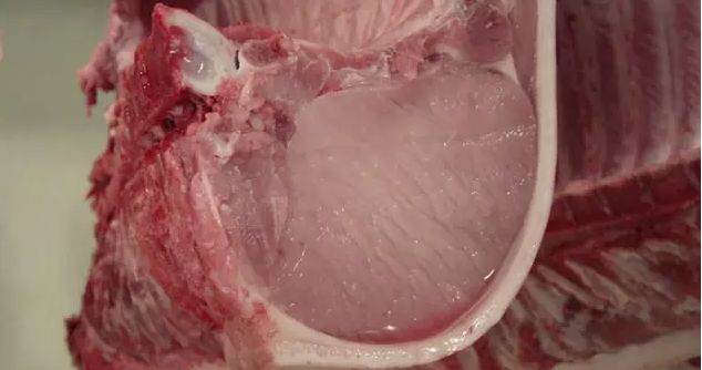 图为屠杀后肉色苍白,渗水的猪肉