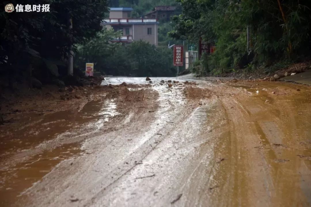 东星村村口道路,水泥路旁的泥土被冲走,剩下裸露的石头.