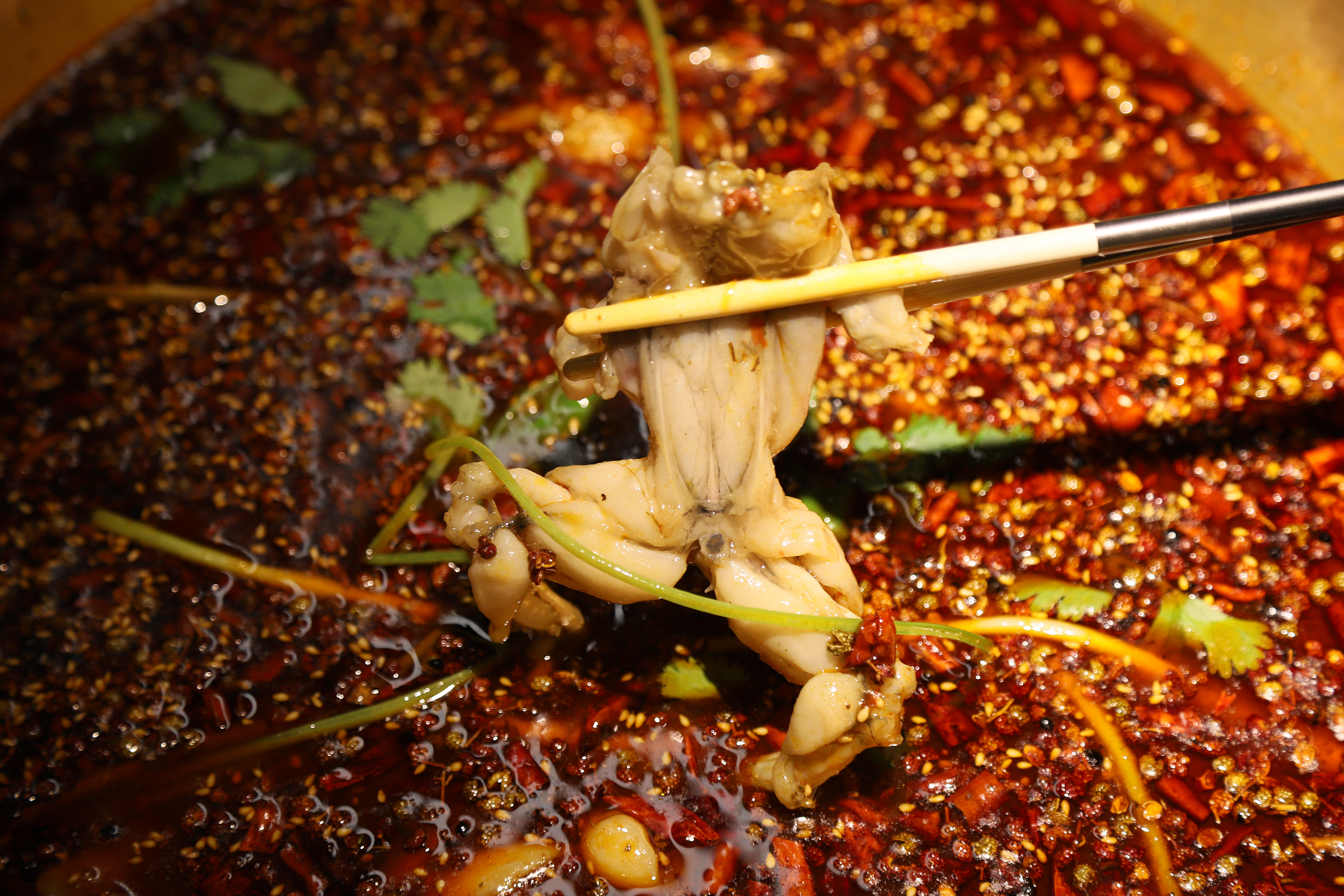 同蛙阁:风靡重庆的美蛙鱼头火锅空降北京工体,席卷盛夏美味