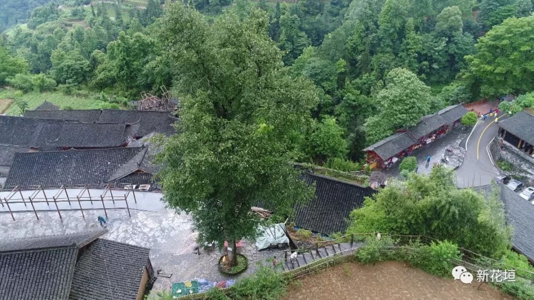 成语什么洞洞(3)
