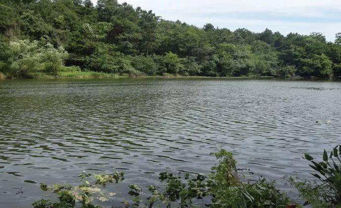 龙泉寺水库 安堂凹水库