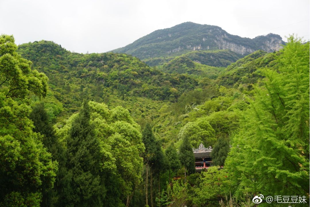 观雾山位于武都镇境内,与窦圌山相邻,是观日,避暑的胜地.