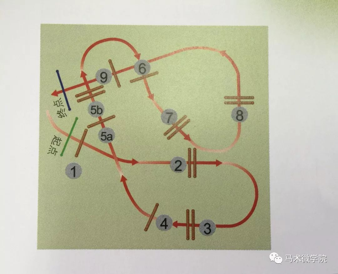 花钱买不到这些马术障碍路线图