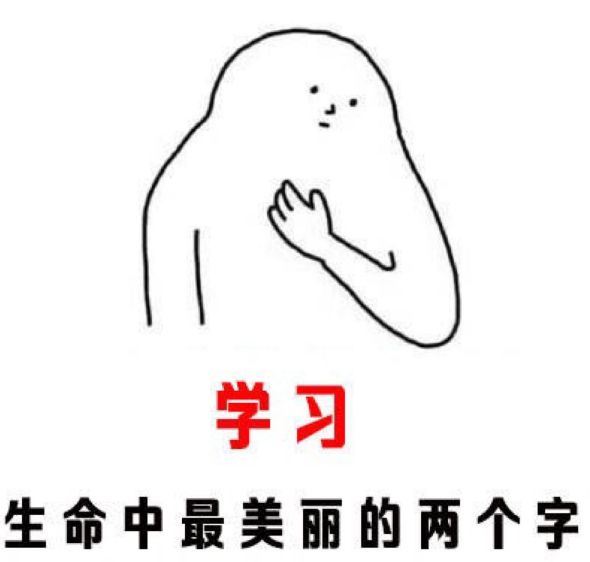 学霸的世界只有 学习学习再学习