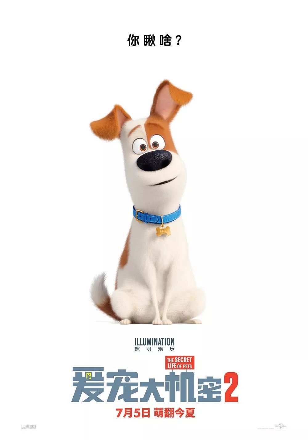 Secret Life of Pets: Duke's Thrilling Adventures