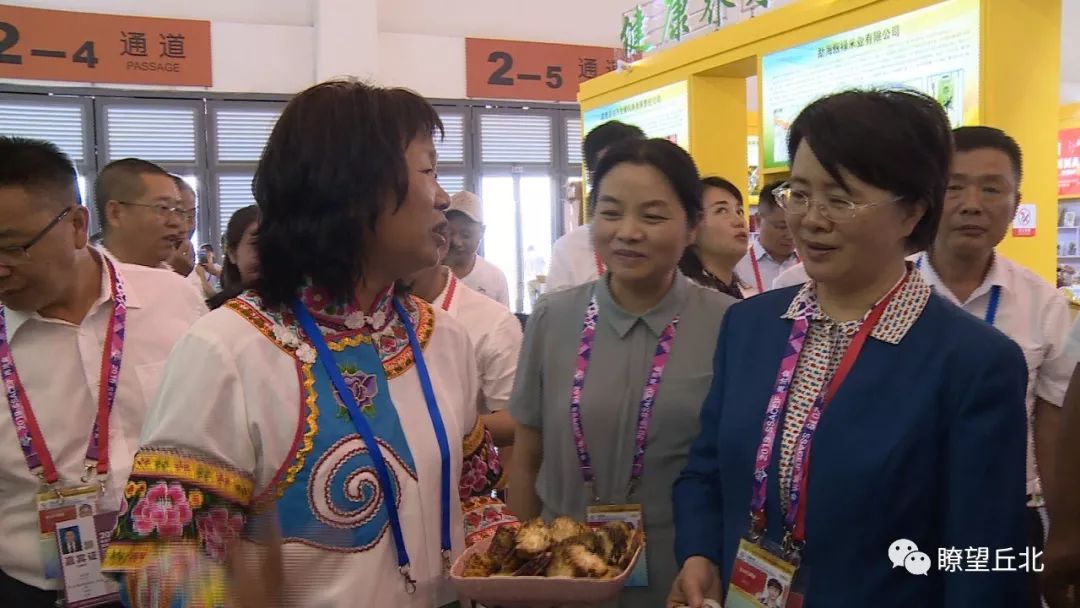 2019商洽会开幕张秀兰等州县党政领导到丘北展区巡展