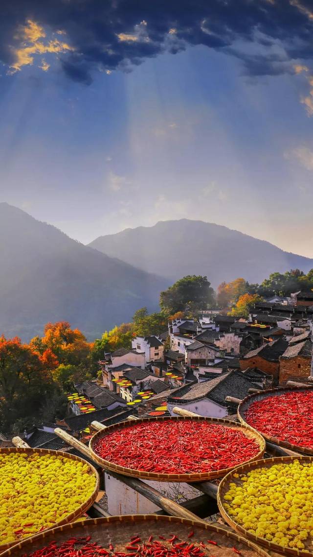 哈哈哈,那小编再偷偷的多放几张篁岭著名的晒秋拼图和夜景图.