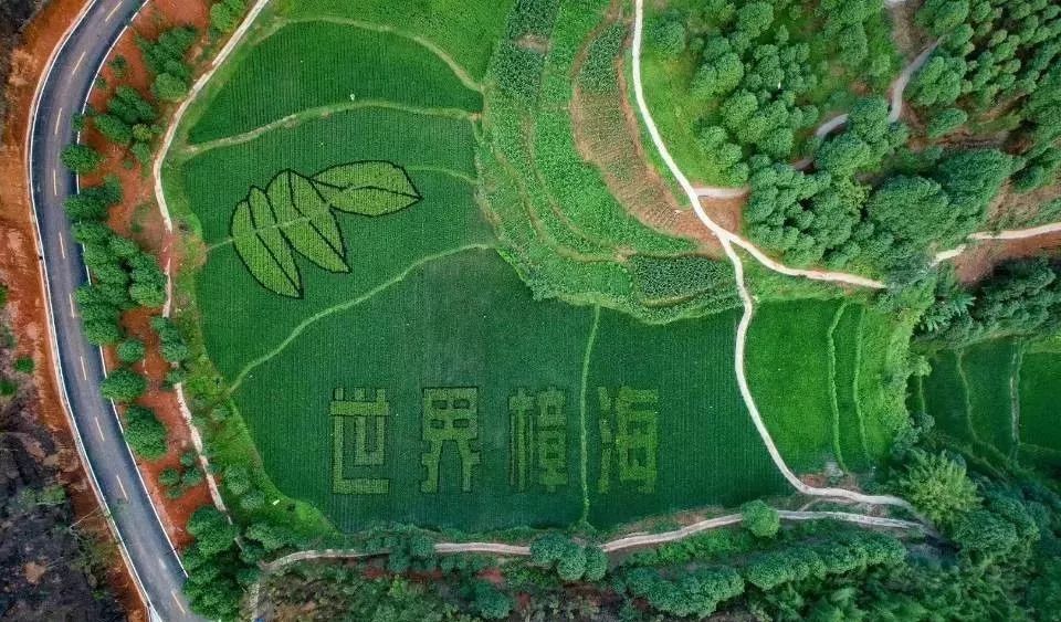 叙州区蕨溪镇gdp_叙州区蕨溪镇(3)