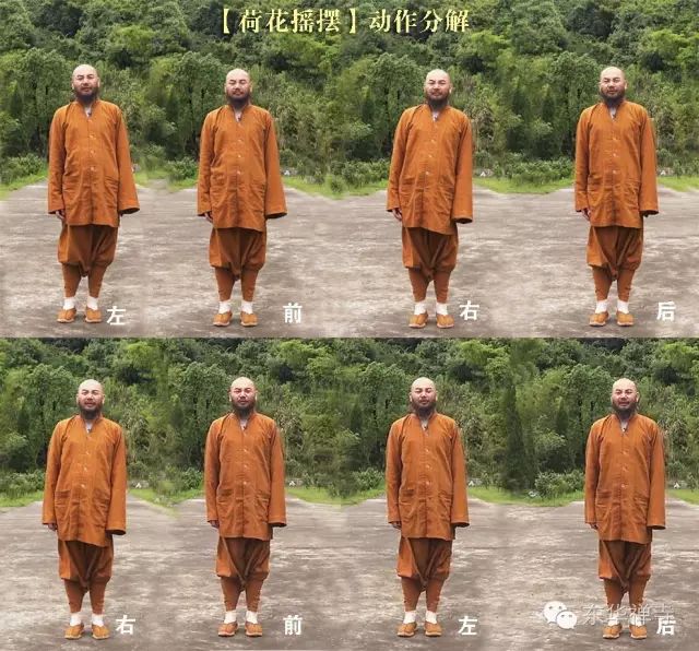 莲花生动功激活人体能量彻底改变精神面貌视频