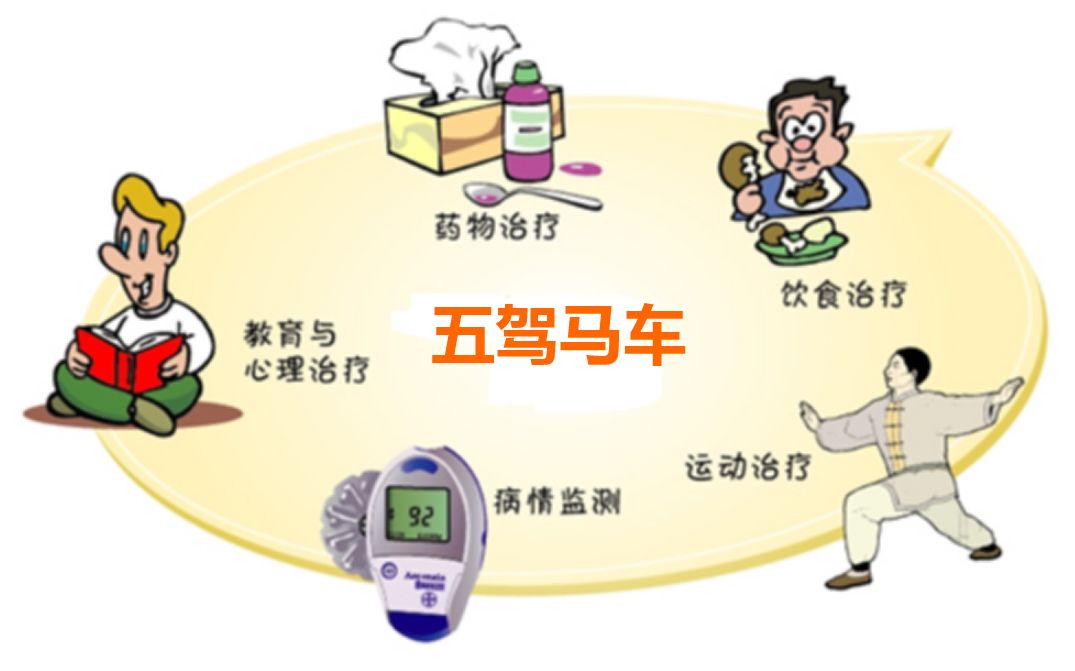 4  防治糖尿病的五驾马车  药物治疗 饮食治疗 运动治疗 管住嘴