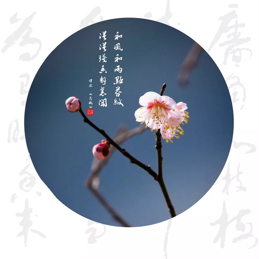 做人的风骨(深度好文)