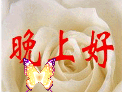 适合睡前群发晚上好动画表情包 温馨晚安问候语简短一句话