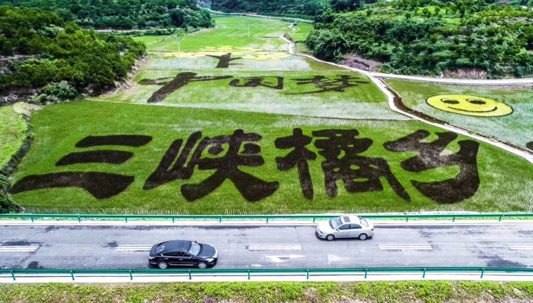 巴渝风 | 来这里,赏半城山水满城橘